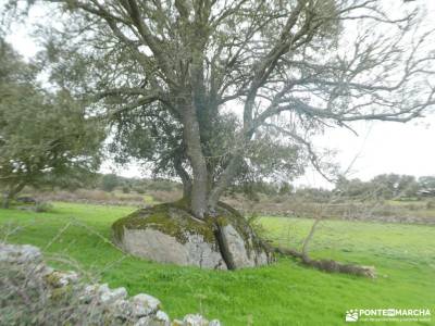 Arribes de Duero zamoranos - Acantilados asombrosos; grupo gredos de montaña el yelmo manzanares el 